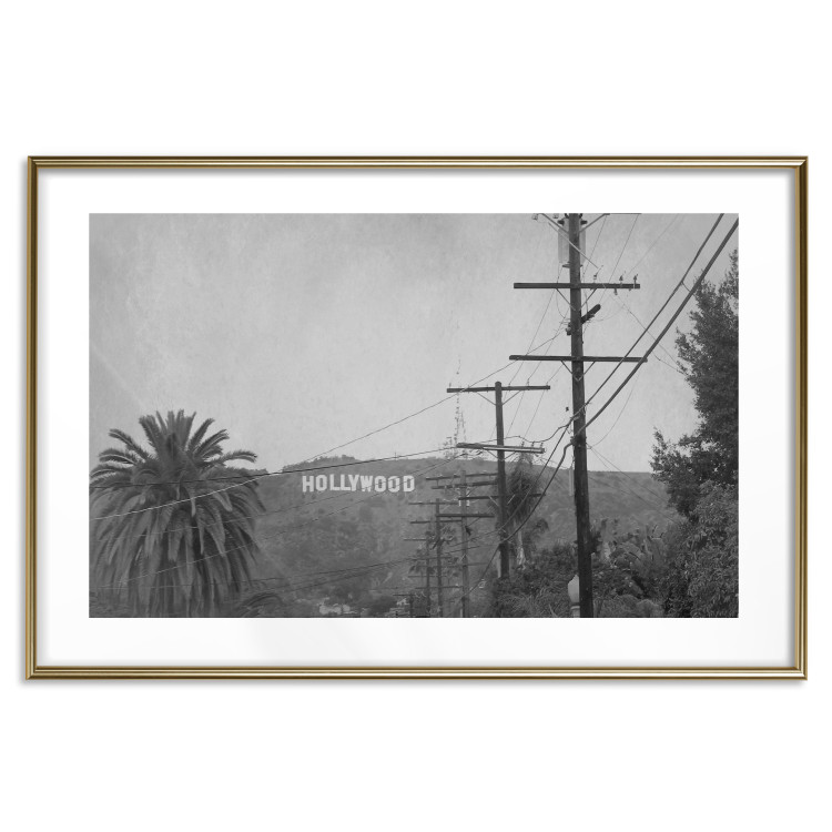 Wall Poster Hollywood - black and white cinematic shot among trees overlooking mountains 116347 additionalImage 14