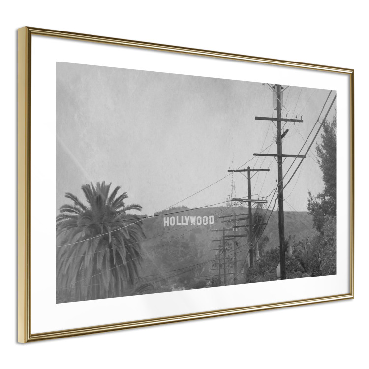 Wall Poster Hollywood - black and white cinematic shot among trees overlooking mountains 116347 additionalImage 6