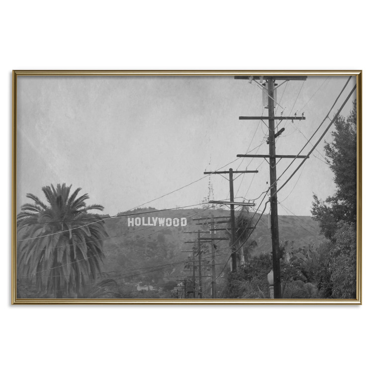 Wall Poster Hollywood - black and white cinematic shot among trees overlooking mountains 116347 additionalImage 20
