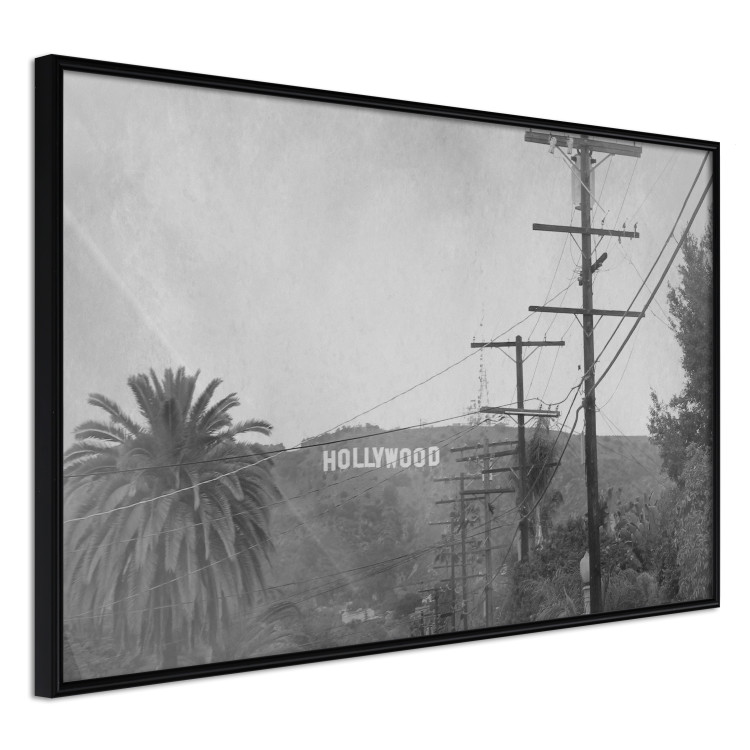 Wall Poster Hollywood - black and white cinematic shot among trees overlooking mountains 116347 additionalImage 12