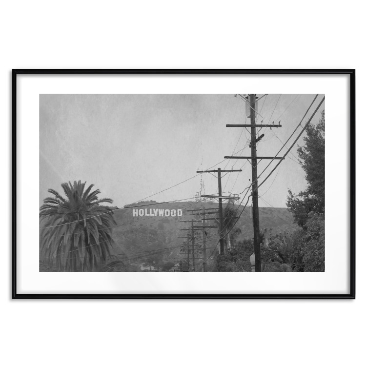 Wall Poster Hollywood - black and white cinematic shot among trees overlooking mountains 116347 additionalImage 17