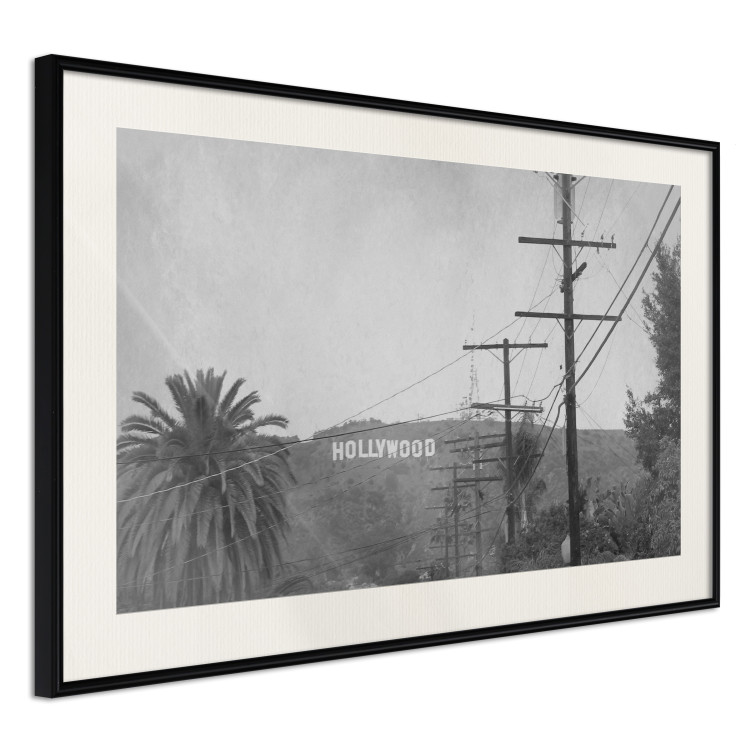 Wall Poster Hollywood - black and white cinematic shot among trees overlooking mountains 116347 additionalImage 3