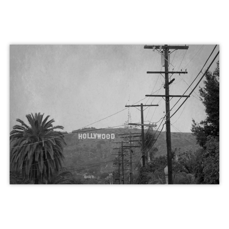 Wall Poster Hollywood - black and white cinematic shot among trees overlooking mountains 116347