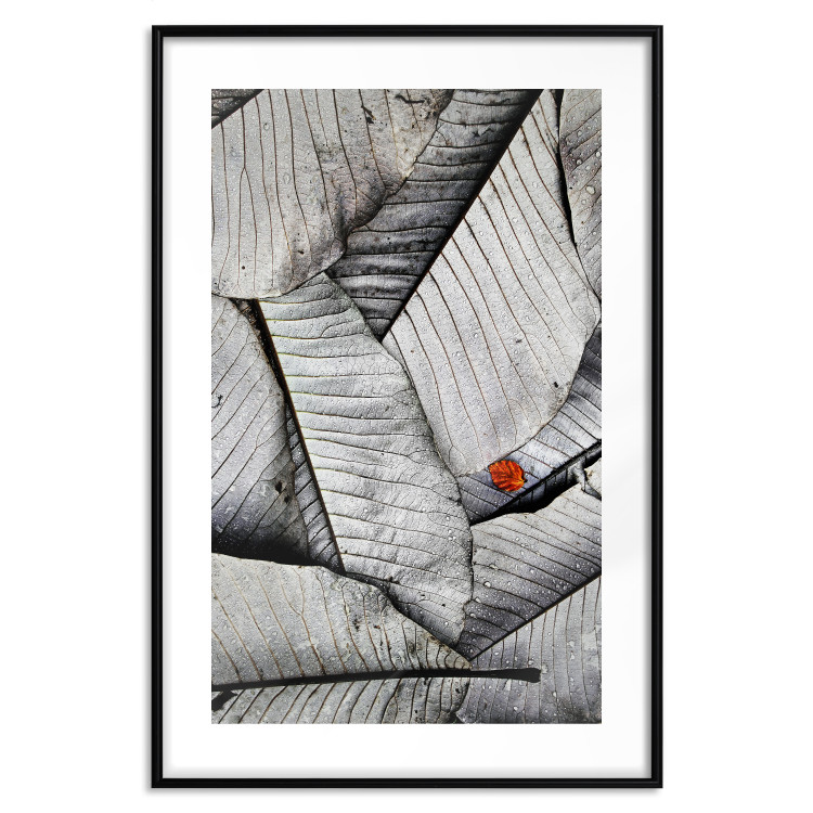 Wall Poster Black and White Leaves - composition with a red leaf among grays 116547 additionalImage 17
