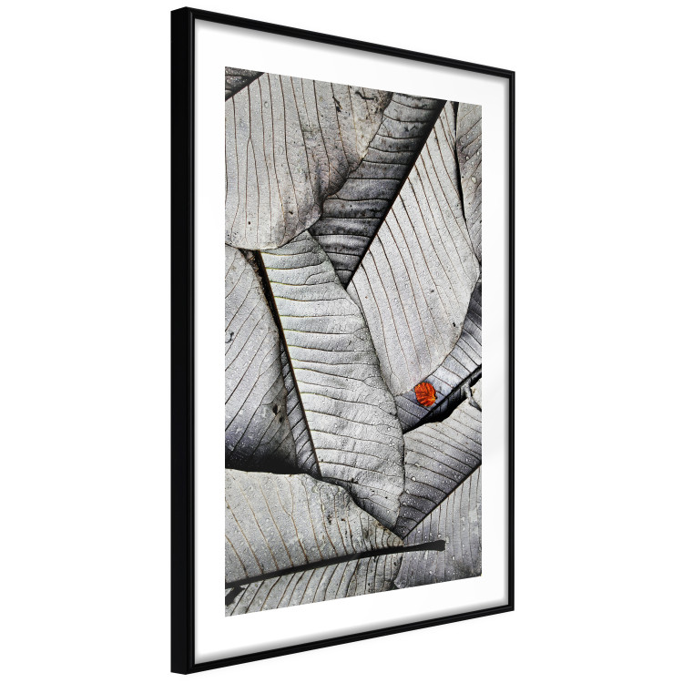 Wall Poster Black and White Leaves - composition with a red leaf among grays 116547 additionalImage 13