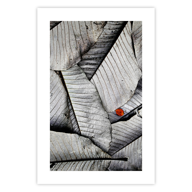 Wall Poster Black and White Leaves - composition with a red leaf among grays 116547 additionalImage 19