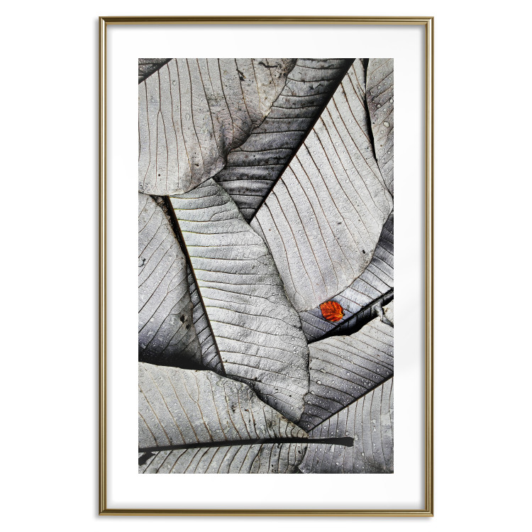 Wall Poster Black and White Leaves - composition with a red leaf among grays 116547 additionalImage 14