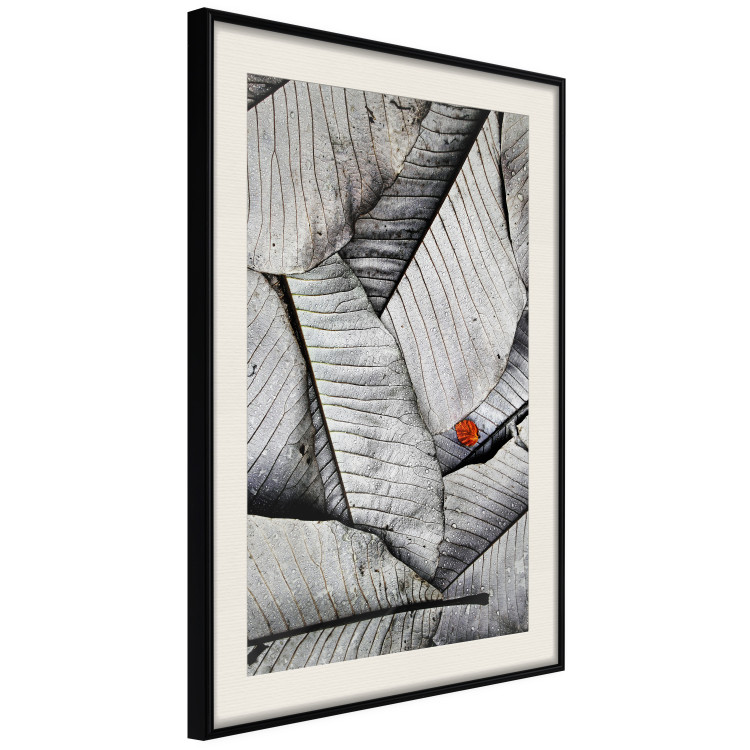 Wall Poster Black and White Leaves - composition with a red leaf among grays 116547 additionalImage 3