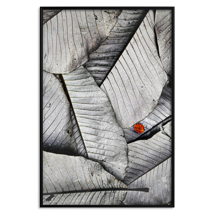 Wall Poster Black and White Leaves - composition with a red leaf among grays 116547 additionalImage 24