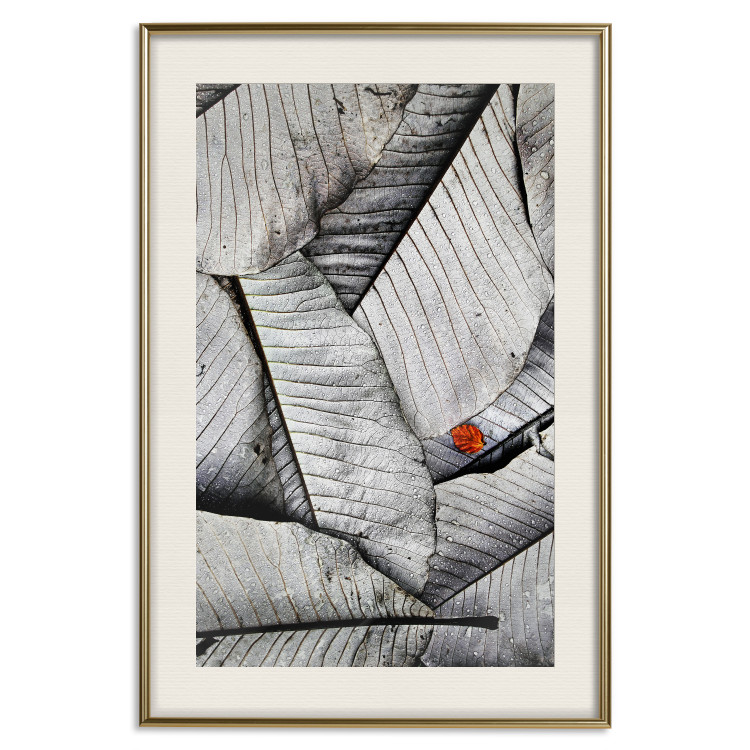 Wall Poster Black and White Leaves - composition with a red leaf among grays 116547 additionalImage 19