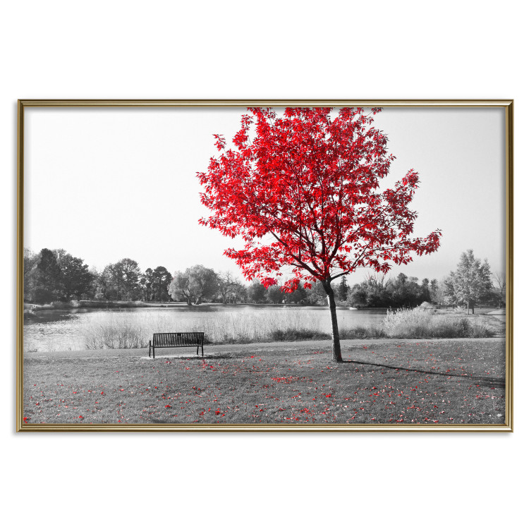 Wall Poster Tree with Red Leaves - black and white landscape of a lake in the park 117147 additionalImage 16