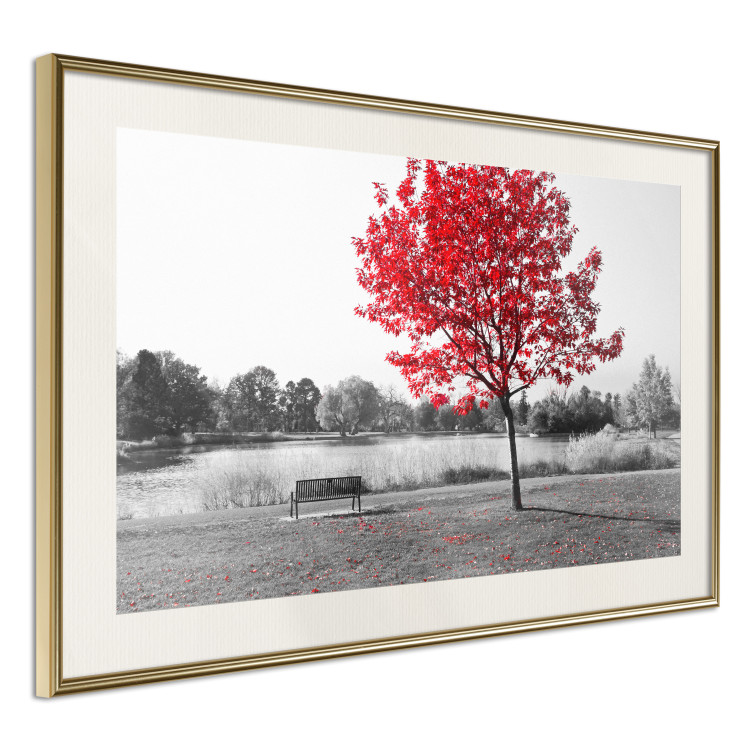 Wall Poster Tree with Red Leaves - black and white landscape of a lake in the park 117147 additionalImage 2