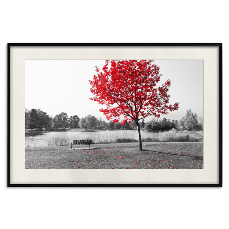 Wall Poster Tree with Red Leaves - black and white landscape of a lake in the park 117147 additionalImage 18