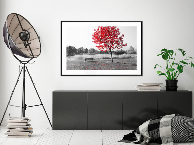 Wall Poster Tree with Red Leaves - black and white landscape of a lake in the park 117147 additionalImage 6