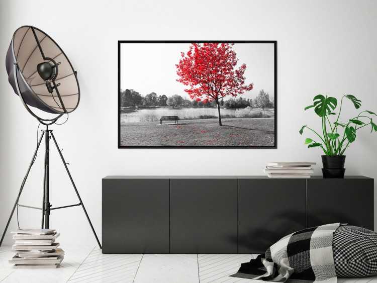 Wall Poster Tree with Red Leaves - black and white landscape of a lake in the park 117147 additionalImage 5