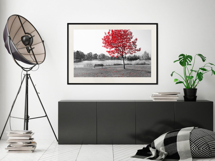 Wall Poster Tree with Red Leaves - black and white landscape of a lake in the park 117147 additionalImage 22