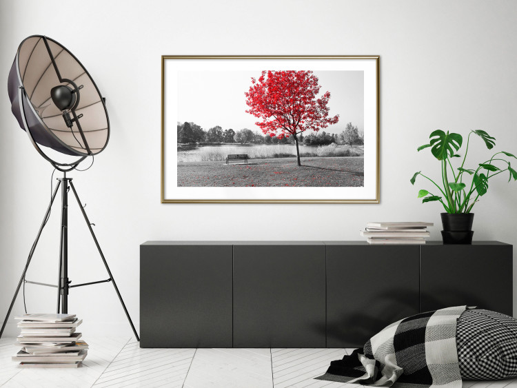 Wall Poster Tree with Red Leaves - black and white landscape of a lake in the park 117147 additionalImage 15