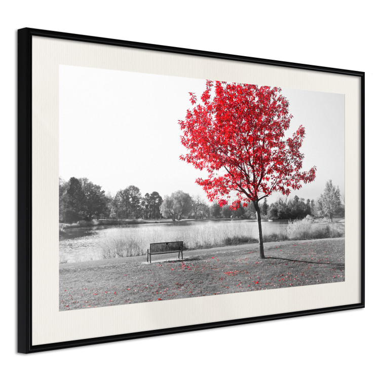 Wall Poster Tree with Red Leaves - black and white landscape of a lake in the park 117147 additionalImage 3