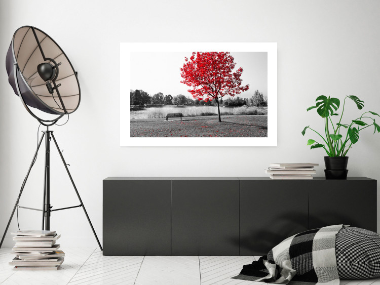 Wall Poster Tree with Red Leaves - black and white landscape of a lake in the park 117147 additionalImage 4