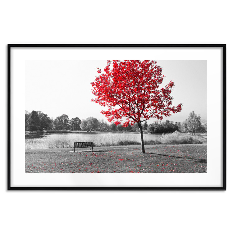 Wall Poster Tree with Red Leaves - black and white landscape of a lake in the park 117147 additionalImage 15