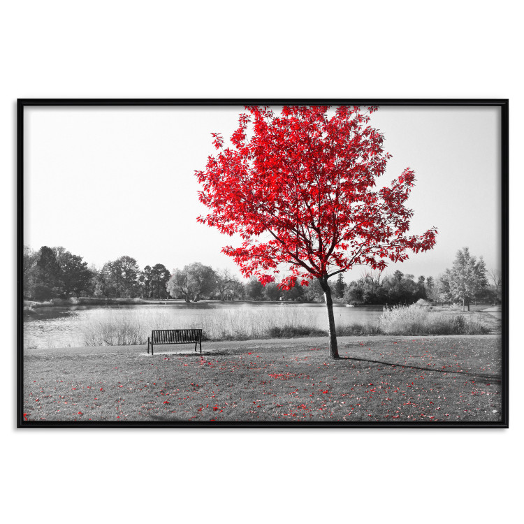 Wall Poster Tree with Red Leaves - black and white landscape of a lake in the park 117147 additionalImage 24