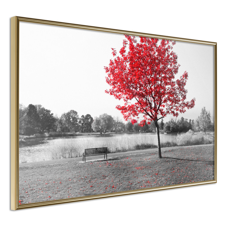 Wall Poster Tree with Red Leaves - black and white landscape of a lake in the park 117147 additionalImage 14
