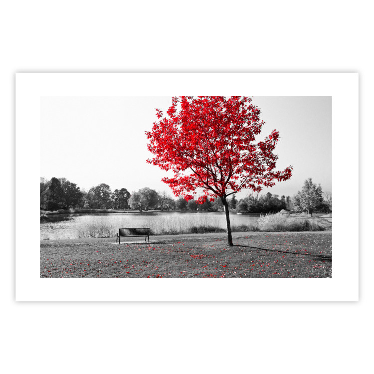 Wall Poster Tree with Red Leaves - black and white landscape of a lake in the park 117147 additionalImage 25