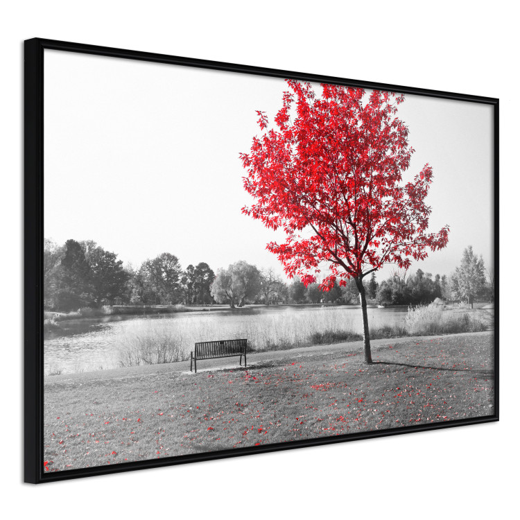 Wall Poster Tree with Red Leaves - black and white landscape of a lake in the park 117147 additionalImage 12