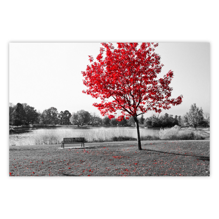 Wall Poster Tree with Red Leaves - black and white landscape of a lake in the park 117147