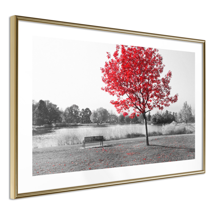 Wall Poster Tree with Red Leaves - black and white landscape of a lake in the park 117147 additionalImage 8