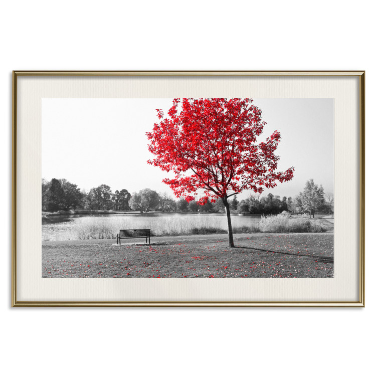 Wall Poster Tree with Red Leaves - black and white landscape of a lake in the park 117147 additionalImage 19