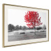 Wall Poster Tree with Red Leaves - black and white landscape of a lake in the park 117147 additionalThumb 2