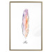 Poster Colorful Feather - composition with a colorful bird feather on a white background 117247 additionalThumb 14