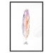Poster Colorful Feather - composition with a colorful bird feather on a white background 117247 additionalThumb 15