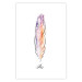 Poster Colorful Feather - composition with a colorful bird feather on a white background 117247 additionalThumb 19