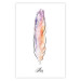 Poster Colorful Feather - composition with a colorful bird feather on a white background 117247