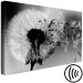 Canvas Dandelion - a fleeting, decaying plant in black and white colors 118247 additionalThumb 6