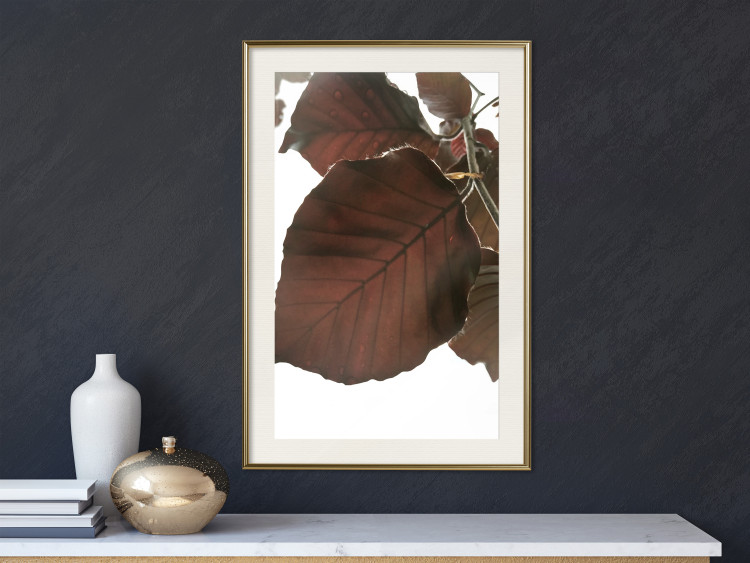 Poster Autumn Leaves - natural brown leaf in the light of bright sunlight 122647 additionalImage 21