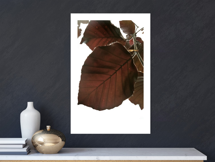 Poster Autumn Leaves - natural brown leaf in the light of bright sunlight 122647 additionalImage 4
