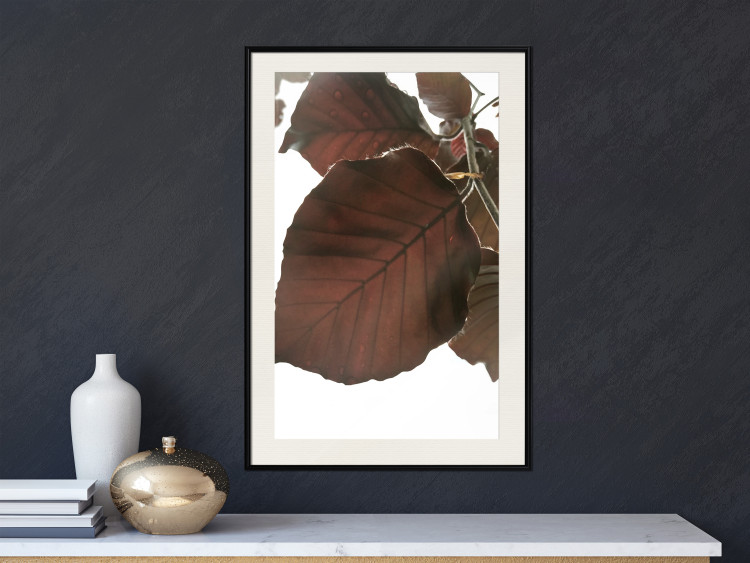 Poster Autumn Leaves - natural brown leaf in the light of bright sunlight 122647 additionalImage 22