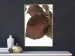 Poster Autumn Leaves - natural brown leaf in the light of bright sunlight 122647 additionalThumb 7
