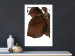 Poster Autumn Leaves - natural brown leaf in the light of bright sunlight 122647 additionalThumb 4