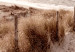 Canvas Art Print Distant Dune (1 Part) Vertical 123747 additionalThumb 4