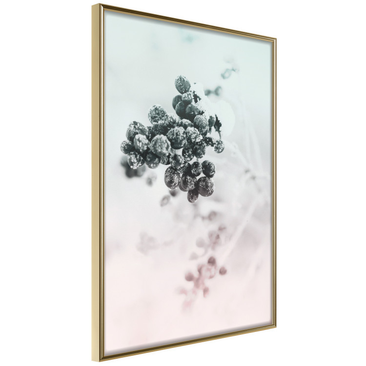 Wall Poster Frozen Twig - plant with dark berries on pastel background 124947 additionalImage 12