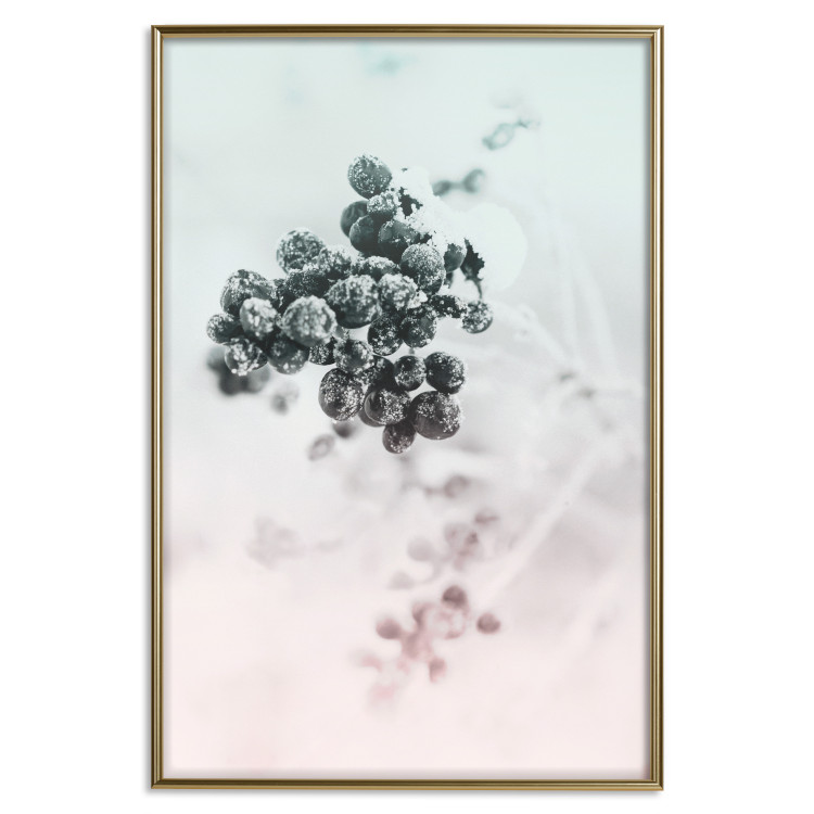 Wall Poster Frozen Twig - plant with dark berries on pastel background 124947 additionalImage 16