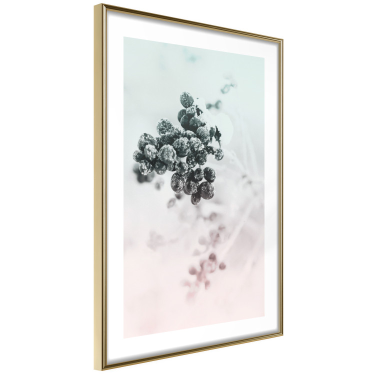 Wall Poster Frozen Twig - plant with dark berries on pastel background 124947 additionalImage 6