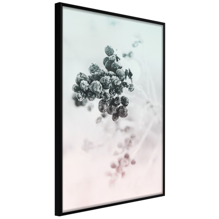 Wall Poster Frozen Twig - plant with dark berries on pastel background 124947 additionalImage 10