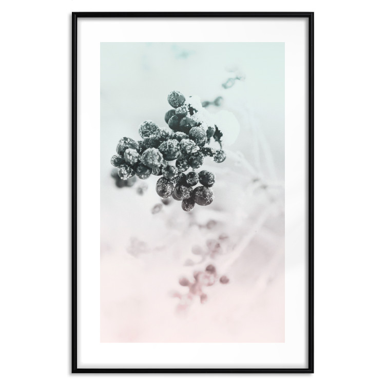 Wall Poster Frozen Twig - plant with dark berries on pastel background 124947 additionalImage 15