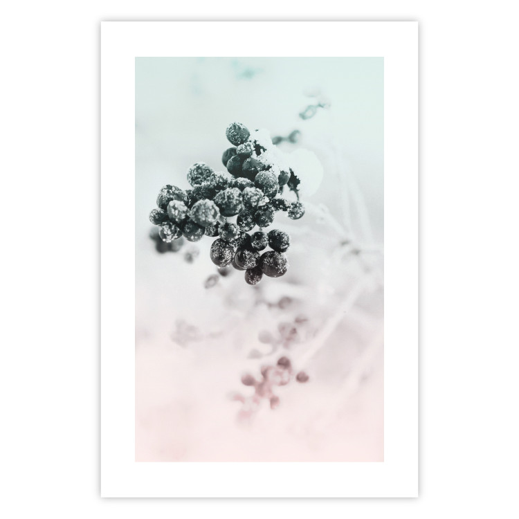 Wall Poster Frozen Twig - plant with dark berries on pastel background 124947 additionalImage 19
