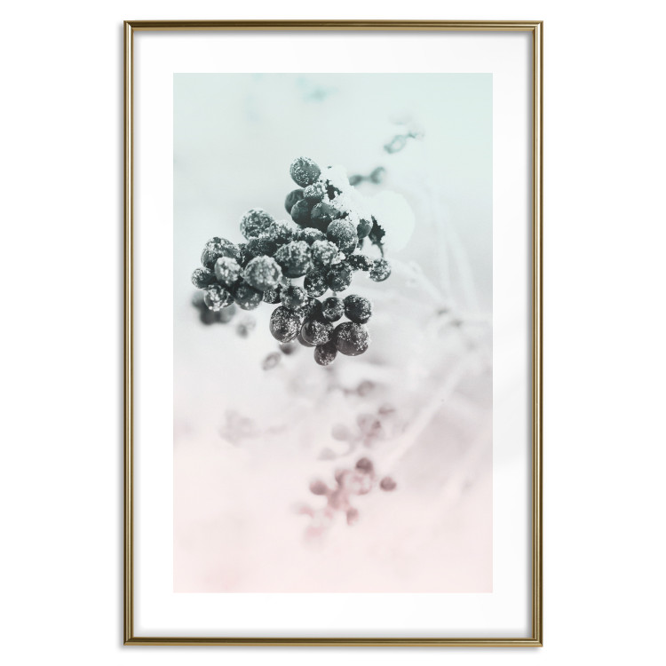 Wall Poster Frozen Twig - plant with dark berries on pastel background 124947 additionalImage 14